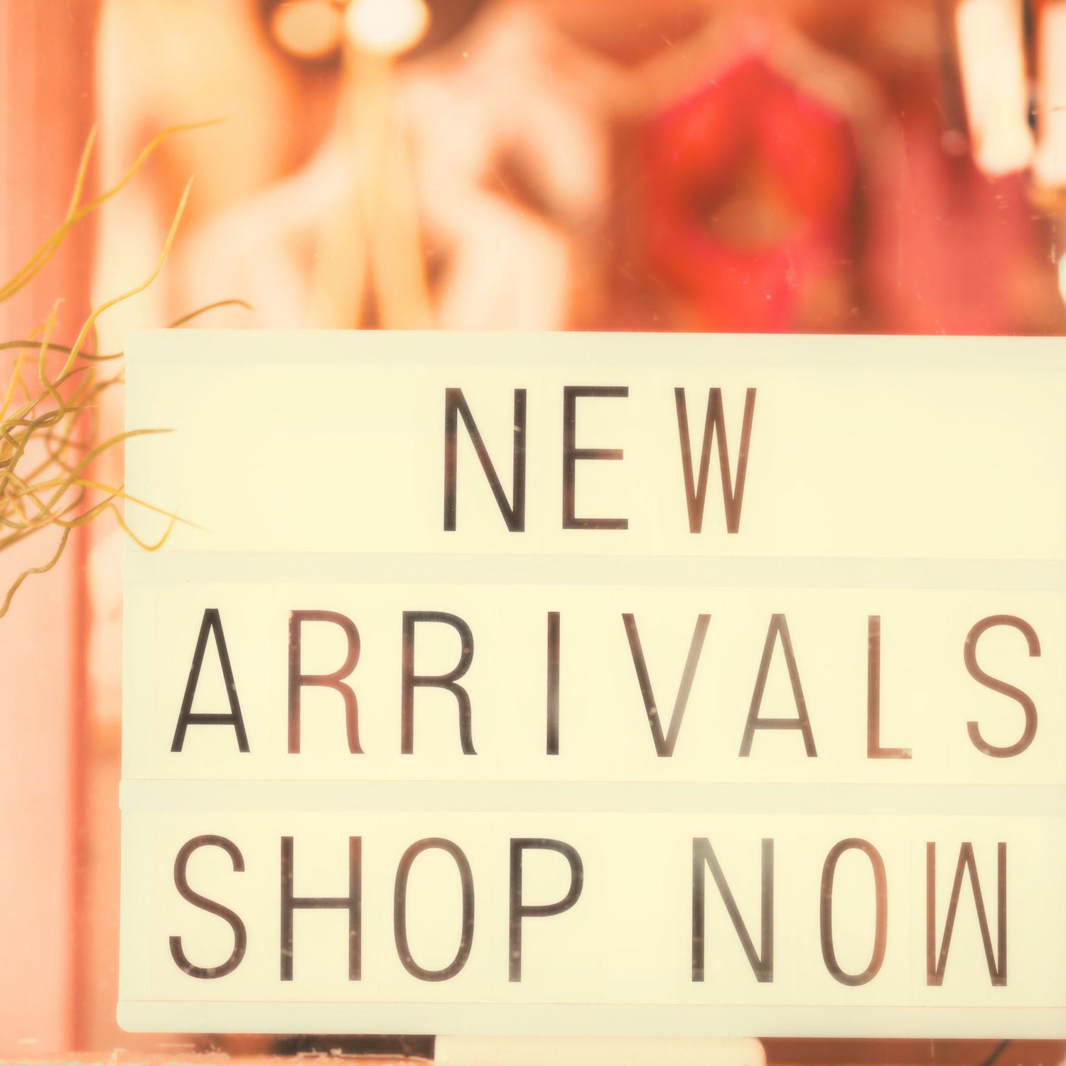 New Arrivals